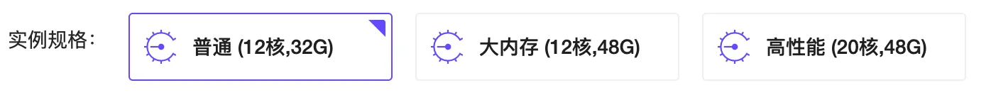 云主机租用流程：极致性能（32核，80G）（步骤 4）