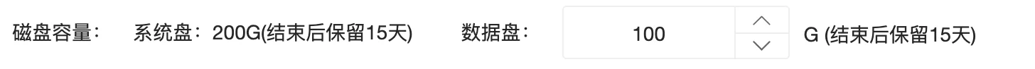 云主机租用流程：数据盘：默认提供100G的高速SSD容量（步骤 5）