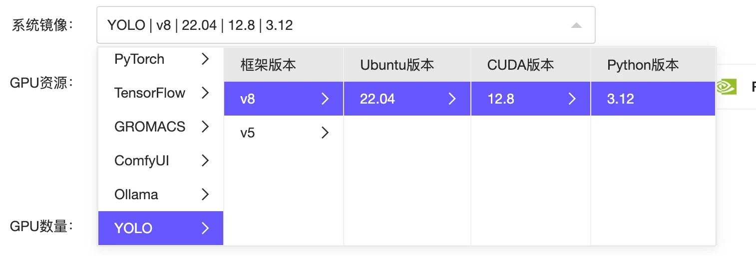 选择YOLO镜像