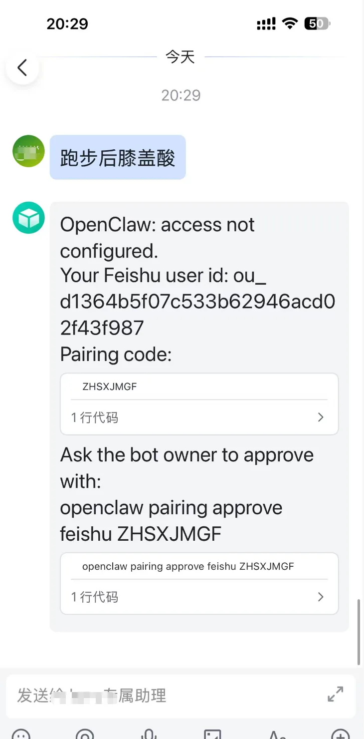 OpenClaw创建飞书应用机器人实测：点开机器人进行聊天测试，首次会收到需要许可的 操作（步骤 10）