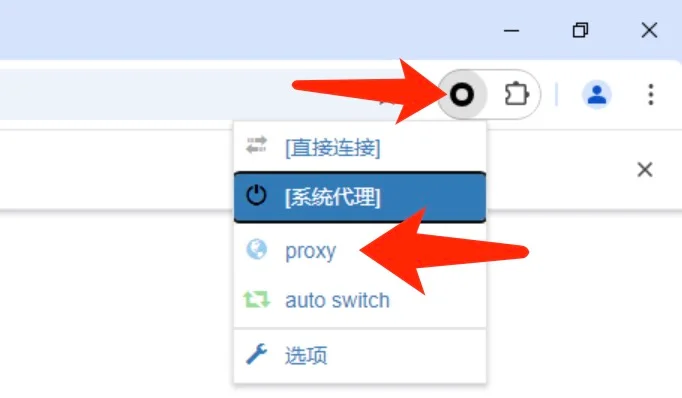 学术资源加速：打开Chrome浏览器，点击右上角插件，如下图
