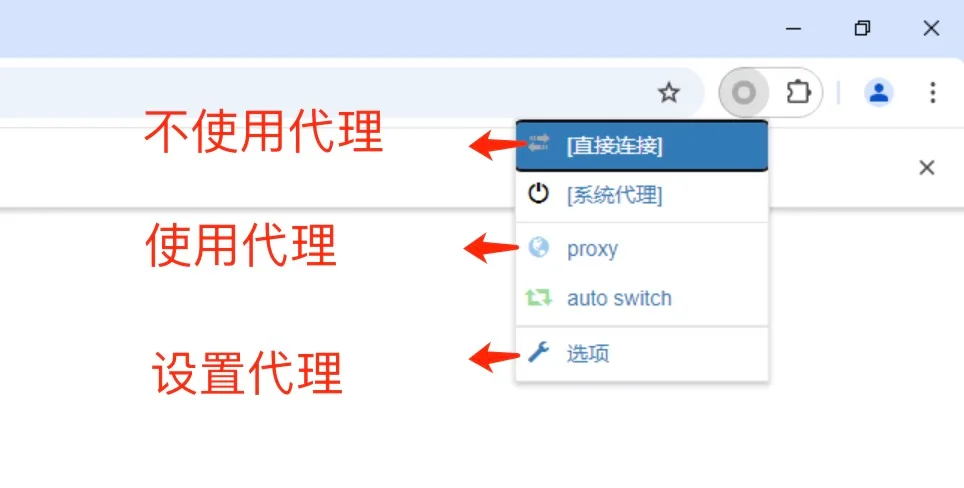 学术资源加速：代理情景模式使用切换，设置入口，proxy.mornai.cn，端口7890，如下图