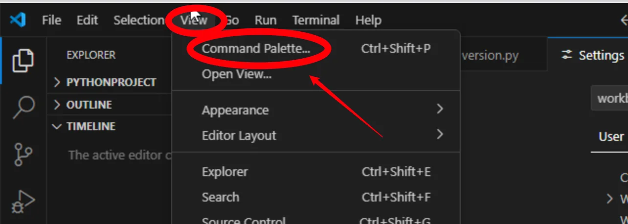 选择Conda虚拟环境：选择VS Code 的菜单项 View- Command Palette（步骤 4）